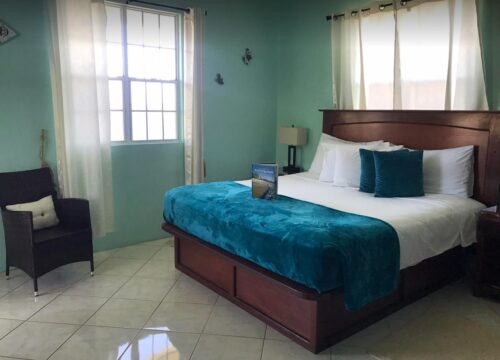 The Best Things to Do Near Oceanview Villa in Virgin Gorda